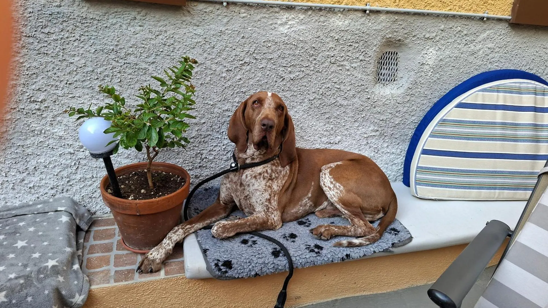 Apartment Villa Viola Chianciano Terme